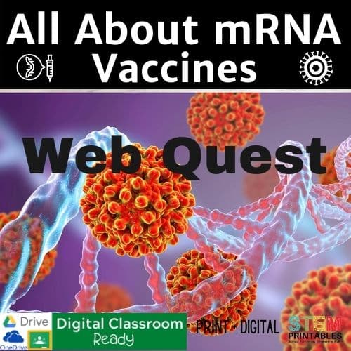 All About mRNA Vaccines Webquest